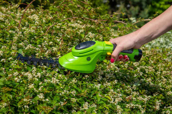 Nożyce bezprzewodowe Fieldmann FZN 4101-A